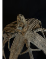 Couronne - Bronze Dogon