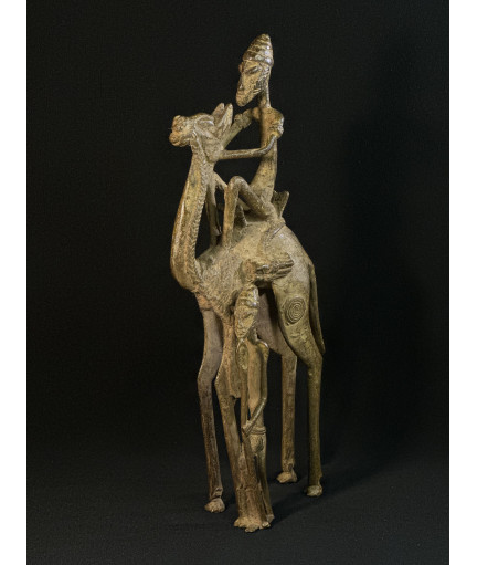 Chamelier Touareg et...