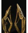 Couple de penseurs - Bronzes Dogon