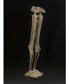 Couple Tellem - Hommes-oiseaux - Bronze Dogon