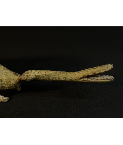 Crocodile - Bronze Bambara
