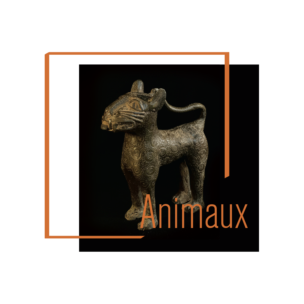 Image catégorie Animaux